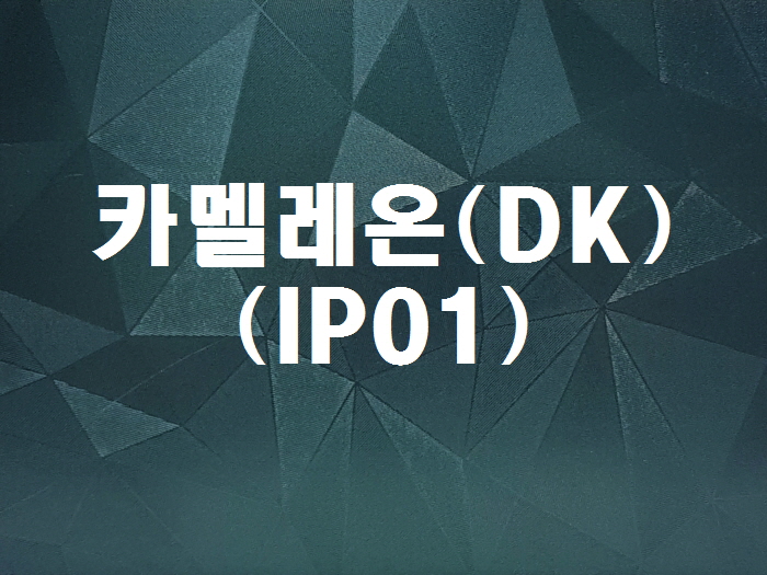 카멜레온(DK-IP01)