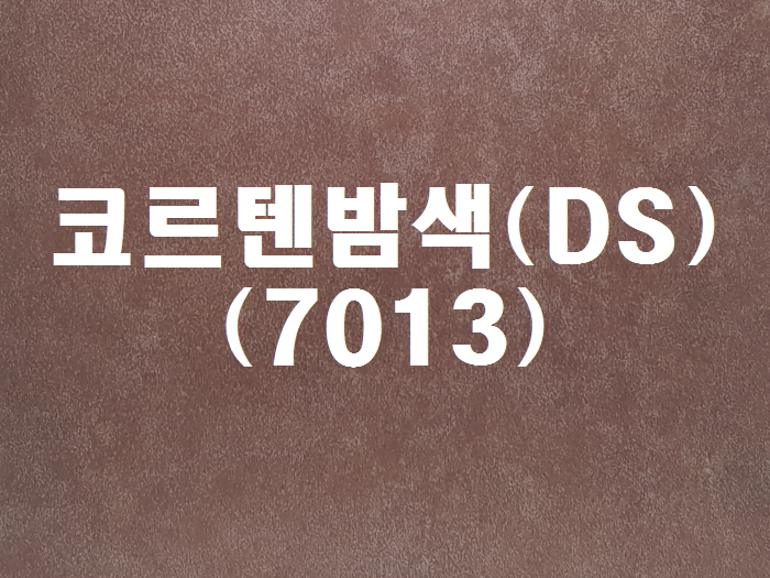 코르텐밤색(DS-7013)